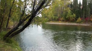 Sibirya 'daki Lena Nehri.