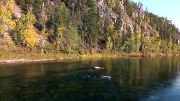 Felsige Ufer des Lenaflusses in der unbewohnten Taiga Sibiriens. — Stockvideo