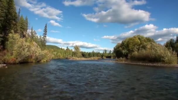 Flodens forsar Lena i Sibirien. — Stockvideo