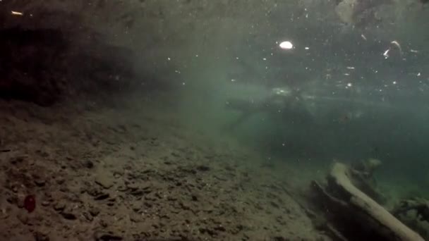 Onderwater landschap in zonlicht in water van de rivier van de Lena in Siberië van Rusland. — Stockvideo