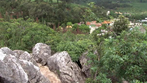 Pflanzen an der Küste des Fuxian-Sees im Hintergrund Landschaft aus Berg und Nebel. — Stockvideo