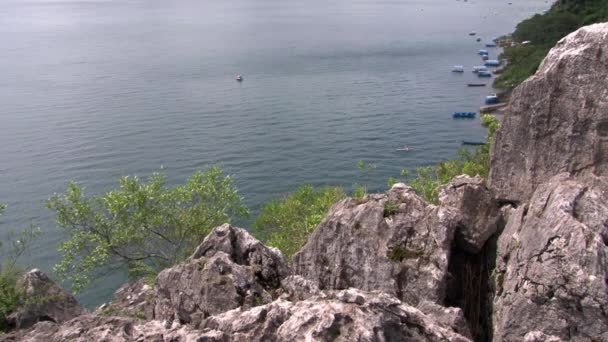 Plants on coast of Fuxian Lake on background landscape of mountain and fog. — Stock Video