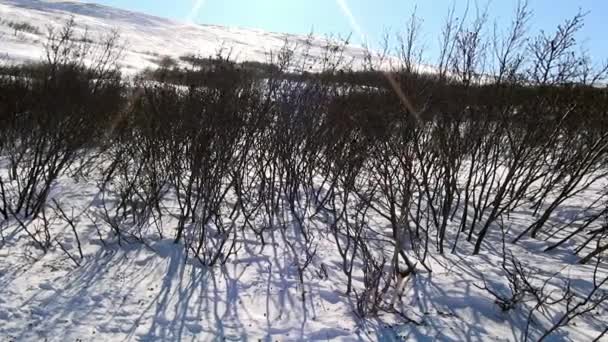 Övergiven hus spökstad Gudym Anadyr-1 Chukotka i långt norr om Ryssland. — Stockvideo