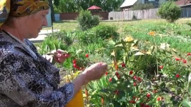 Aziz Elisabeth Manastırı.