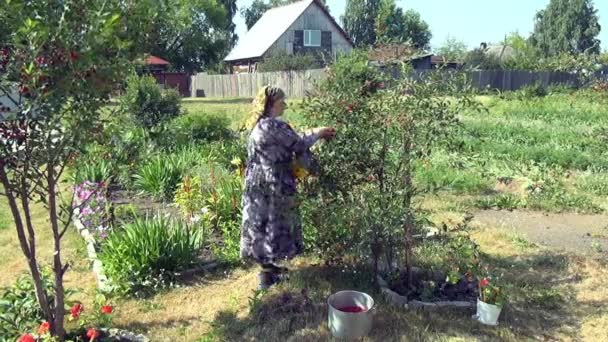 Санкт Елізабет жіночий монастир . — стокове відео