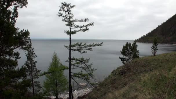 Berg kust och släta stenar närbild under rent vatten i sjön Baikal. — Stockvideo