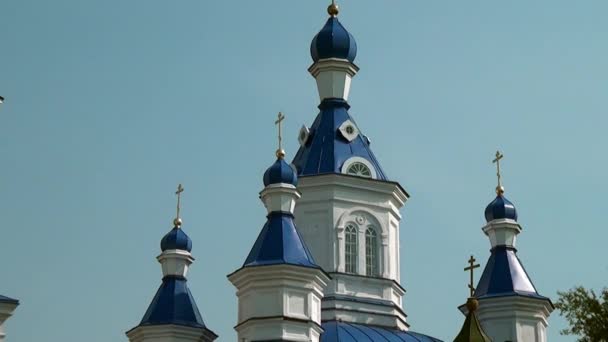 Gereja Ortodoks Katedral Holy Trinity. — Stok Video