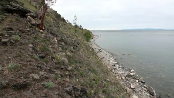 Côte montagneuse et pierres lisses à proximité sous l'eau propre du lac Baïkal . — Video