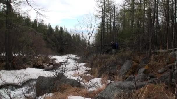 Горное побережье и гладкие камни крупным планом под чистой водой озера Байкал . — стоковое видео