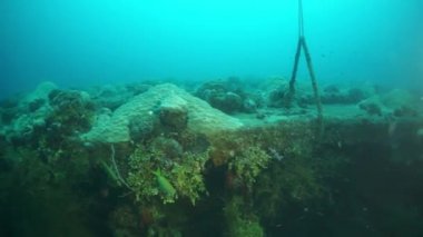 Chuuk Adaları 'ndaki Truk Gölü' nde gemi enkazı..