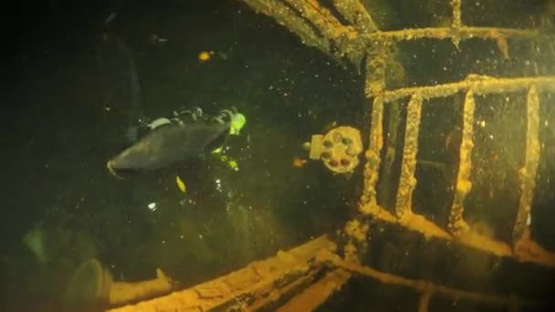 Duiker aan boord tijdens schipbreuk duiken in de onderwaterwereld van Truk Islands. — Stockvideo