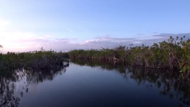 Wieczorny rezerwat biosfery Riwiera Maya Quintana Roo Meksyk. — Wideo stockowe