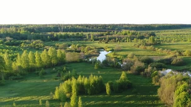 Vidéo aérienne par drone de marécages forestiers entourés de verts pâturages offrant une vue imprenable sur le paysage cinématographique. Concept climat nature nature .