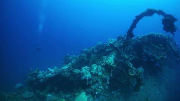 Ship wreck underwater on seabed of Pacific Ocean on Chuuk Islands. — Stock Video