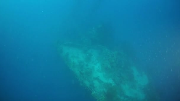 Stridsgevär av sjunkna fartyg vrak i undervattens Truk Islands. — Stockvideo