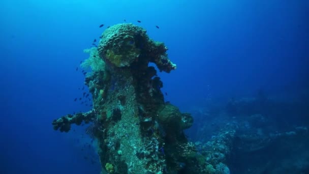 Ecole de poissons sur naufrage dans le monde sous-marin des îles Truk. — Video