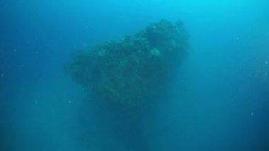 Chuuk Adaları 'ndaki Truk Gölü' nde su altı enkazı..