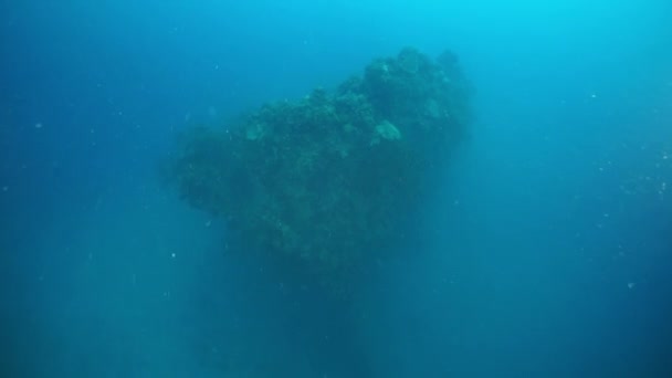 Zřícenina pod vodou v Truk Lagoon na ostrovech Chuuk. — Stock video