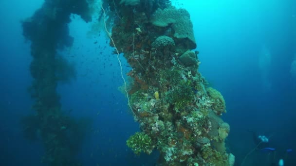 Wrack unter Wasser in Truk-Lagune auf Chuuk-Inseln. — Stockvideo