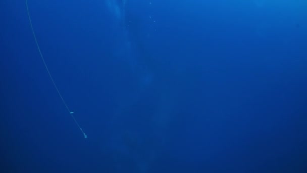 Wreck diving in underwater world of Truk Islands. — Stock Video