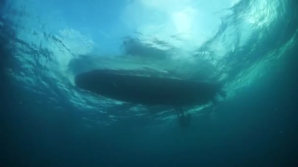 Truk Adaları 'nın sualtı dünyasında gemi enkazı dalışı. — Stok video