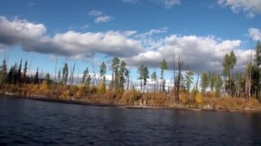 Sibirya 'daki Lena Nehri' nin gökyüzünde sarı ağaçlar ve bulutlarla dolu güzel bir doğa..