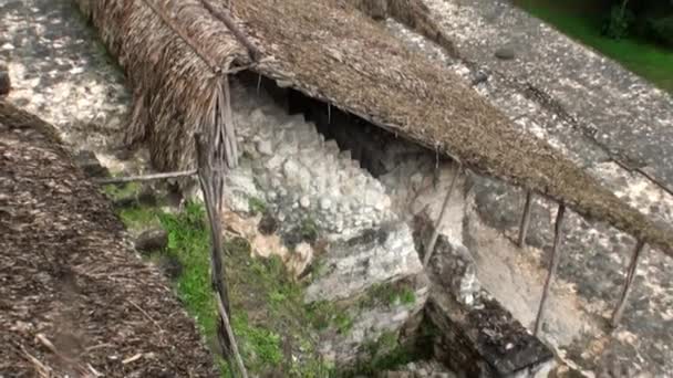 Templom Szelek Tulum Mayan romok Zona Arqueologica Mexikó. — Stock videók