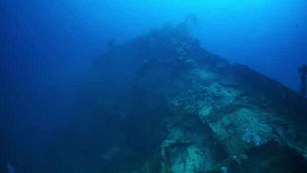 Coraux sur l'épave d'un navire dans les îles Truk sous-marines . — Video