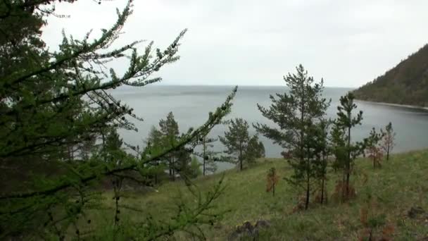 Berg kust och släta stenar närbild under rent vatten i sjön Baikal. — Stockvideo