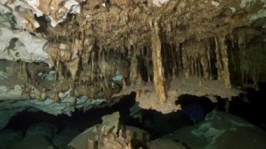Yucatan Meksika 'nın sualtı mağaralarına dalış yapıyorlar..