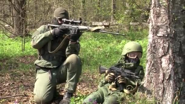 Игроки airsoft находятся на позиции в лесу . — стоковое видео