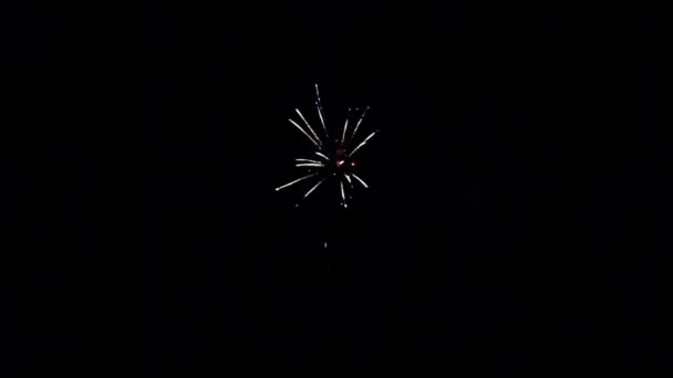 Elemento fuochi d'artificio bianchi su sfondo nero . — Video Stock