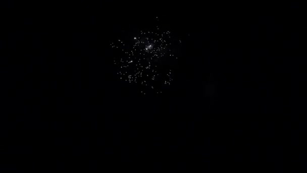 Fogos de artifício vermelho e branco sobre fundo preto . — Vídeo de Stock