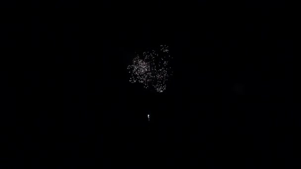 Элемент фейерверка для празднования на черном фоне . — стоковое видео