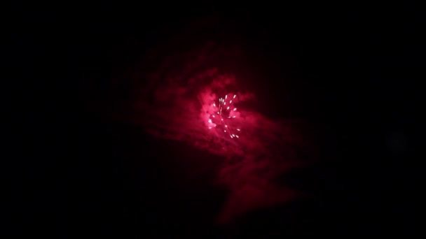 Feu d'artifice rouge sur fond noir . — Video