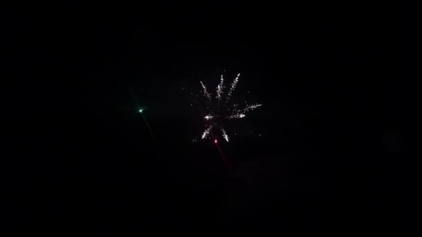 Fogos de artifício em fundo preto . — Vídeo de Stock