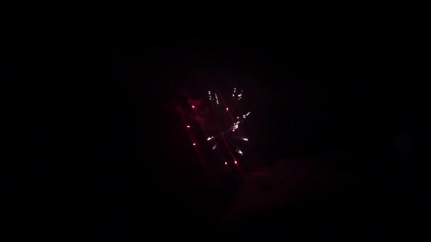 Elemento de fuegos artificiales sobre fondo negro . — Vídeo de stock