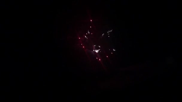Elemento fuochi d'artificio su sfondo nero . — Video Stock