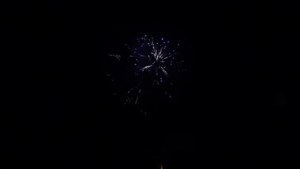 Elemento di fuochi d'artificio su sfondo nero . — Video Stock