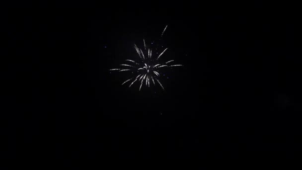 Element of firework on black background. — Stock Video