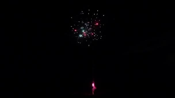 Prvek Firework na černém pozadí. — Stock video