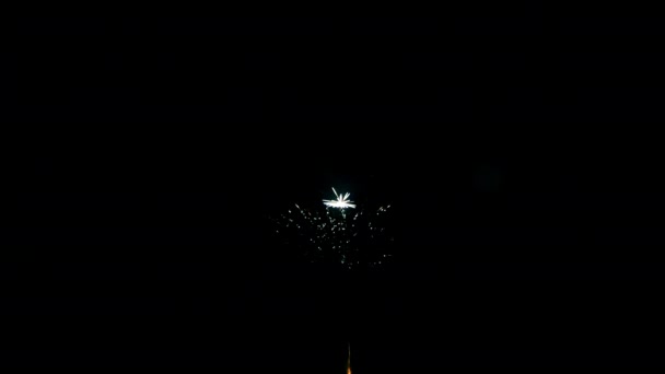 Festival firework element on black background to create a set of salutes. — Stock Video