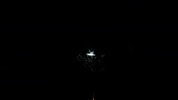 Elemento de fuegos artificiales del festival sobre fondo negro para crear un conjunto de saludos. — Vídeos de Stock