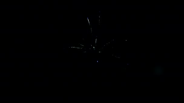 Feu d'artifice du festival sur fond noir pour créer un ensemble de saluts.