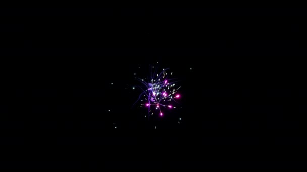 Sokszínű tűzijáték elem fekete háttér létrehozni egy sor tisztelgés. — Stock videók