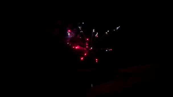 Red firework element on black background. — Stock Video