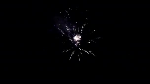 White and blue firework element on black background. — Stock Video