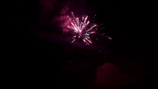 Elemento fogo de artifício vermelho no fundo preto . — Vídeo de Stock