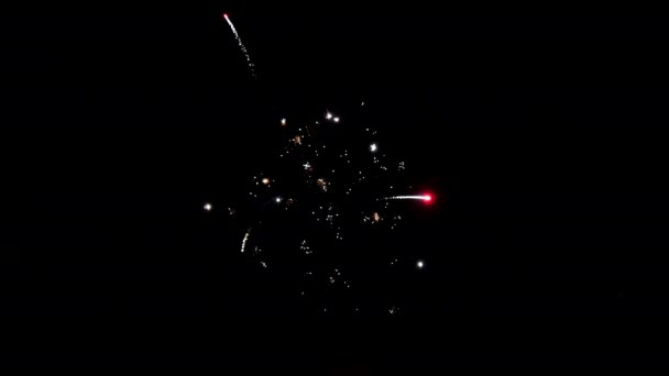 Mehrfarbiges Feuerwerk auf schwarzem Hintergrund, um eine Reihe von Salutschüssen zu erzeugen. — Stockvideo