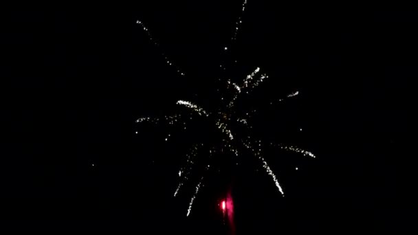 Veelkleurig vuurwerk element op zwarte achtergrond om een set van groeten te maken. — Stockvideo